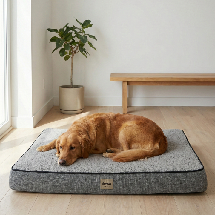 Arthur, Visco Süngerli, Çıkarılabilir Kılıflı, Su Geçirmez, Yüksek Kaliteli Kedi ve Köpek Yatağı Gri - 90*110