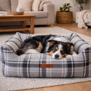 Comfy Pet, Premium Dokuma Kumaş, Çıkarılabilir Minder, Yıkanabilir,Destekleyici Kedi ve Köpek Yatağı Ekose Krem - 48*62*17