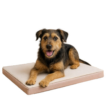 EasyMat, Çift Taraflı Kullanılabilen, Çıkarılabilir Kılıflı, Yıkanabilir, Kedi ve Köpek Matı Bej - 60*80