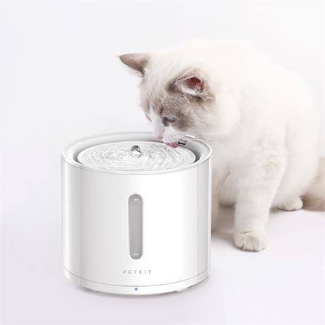 PETKIT EverSweet Solo 2 Akıllı Su Pınarı