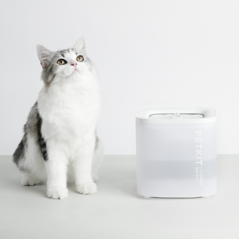 Petkit Eversweet Solo Se Su Pınarı