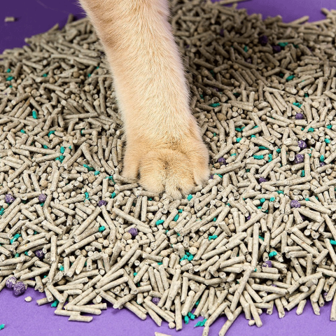 Petkit 5'i 1 Arada Aktif Karbonlu Kedi Kumu
