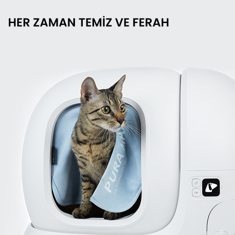 PETKIT Pura Max Manyetik Perde Mavi P9221C